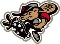 Beavers